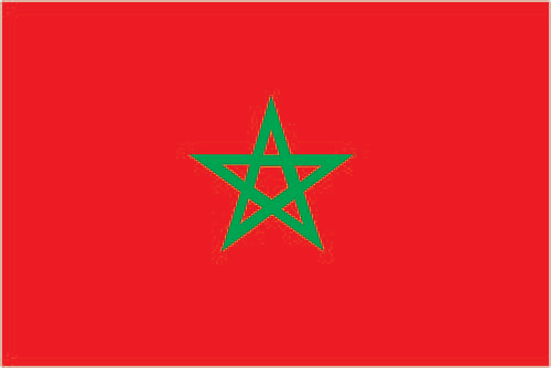 Moroccon Flag